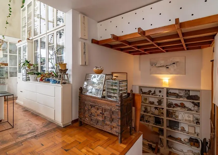 Mrw Artist's Atelier Orchid Oasis 3br House Holiday home Mexico City